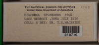 Image Associated With the Occurence